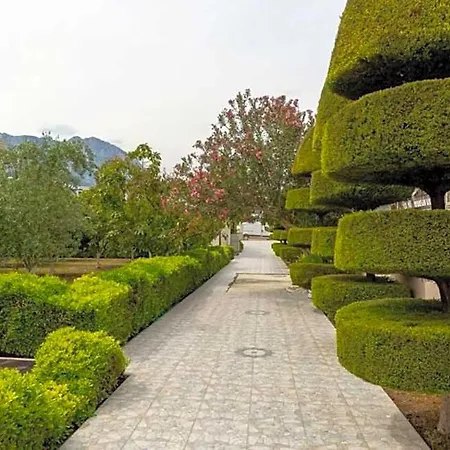 Erkal Kemer