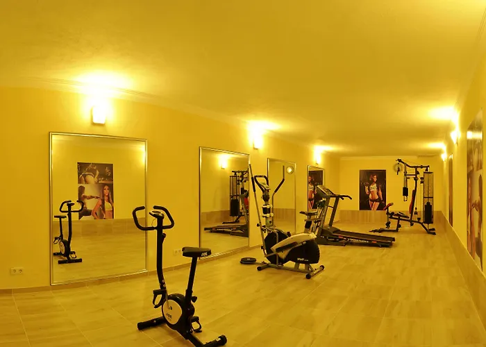 Erkal Hotell 4*